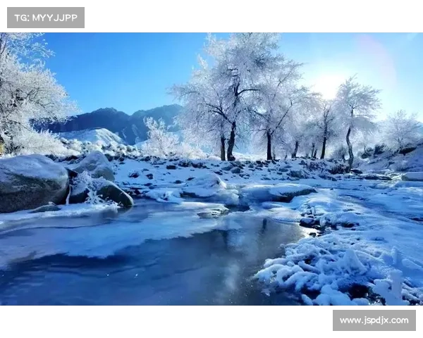 冬日湖畔的宁静之旅：冰雪与自然景色的完美交融与静谧体验
