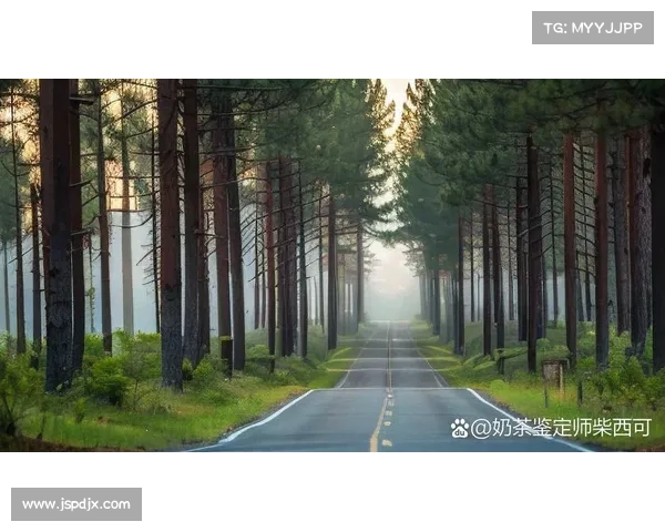 探索永歌森林的秘密:一场与自然共舞的绿意之旅 探索永歌森林的秘密:一场与自然共舞的绿意之旅