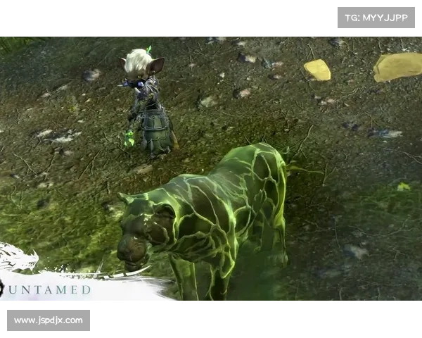 激战2游侠宠物捕捉技巧八大实用建议助你轻松养成强力宠物